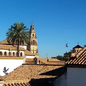 La Mirada De La Juderia Córdoba